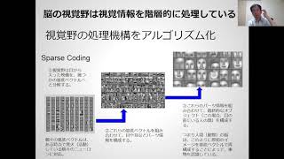 2-16 脳の視覚野と研究成果