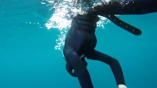 Freediving at Glen Christie Quarry in Cambridge, 2019