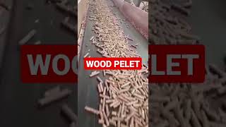 WOOD PELET#wood