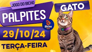 PALPITE DO DIA 29/10/2024 - JOGO DO BICHO 🍀 TODAS AS LOTERIAS 🍀