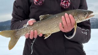 Maine ice fishing for lakers