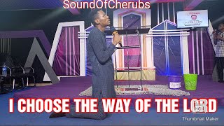 SOAKING WORSHIP, I CHOOSE THE WAY OF THE LORD - APOSTLE EDU UDECHUKWU