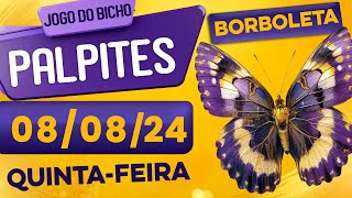 PALPITE DO DIA 08/08/2024 - JOGO DO BICHO 🍀 TODAS AS LOTERIAS 🍀