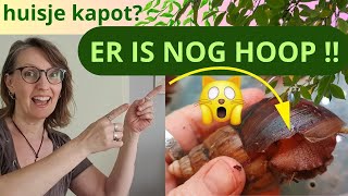 Er is nog hoop bij kapotte huisjes !