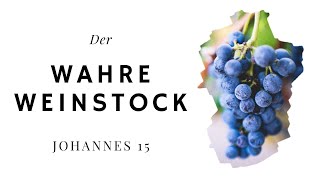 Der wahre Weinstock (Timo Schumann)