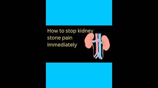 How to stop kidney stone pain immediately without insulin #kidneystone #kidneyhealth #trendingvideo