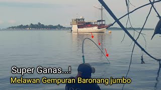 Gila Tarikan Nya Super Ganas..! Joran Tegek Hampir Patah Melawan Gempuran Baronang Jumbo