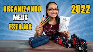 ORGANIZANDO MEUS ESTOJOS 2022 | Samanta Santos