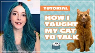 How I Taught My Cat to Talk | Beginner Tutorial