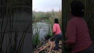 Guau!!. así pesca con red esta chica en laguna - #fishing