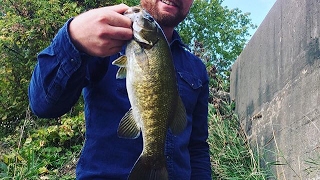 FAVOURITE 2 SMALLMOUTH LURES. Creek TV