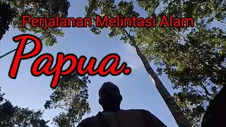 Perjalanan melintasi alam Papua