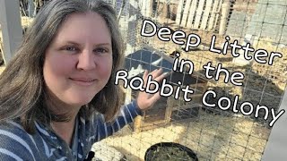 How I Start & Reset Deep Litter in the Rabbit Colony