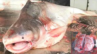 Amazing Giant Pangas Fish Cutting Live In Bangladesh Fish Market | Fish Cutting Skills | Cutting