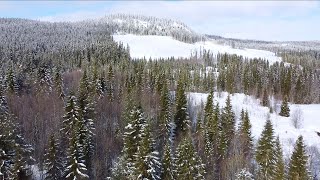 Winter Wonderland in Sweden