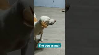 The dog vs man