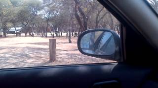 My car getting attacked by a wild animal in the Pilansberg National Park