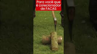 Para você que é colecionador de FACAS. #shorts