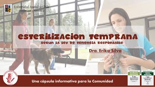 Medicina Veterinaria en 10 minutos - Esterilización Temprana según LEY de Tenencia Responsable