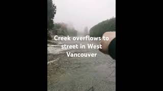 Tiny Creek becomes torrent and floods street in West Vancouver!