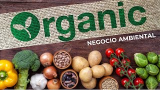 🌱 Conoce 9 NEGOCIOS AMBIENTALES orgánicos ✅ Emprendimientos verdes 🍃