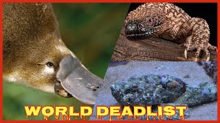 The 10 Most Venomous Animals In The World--Part 02