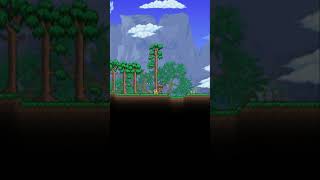 TERRARIA - #shorts