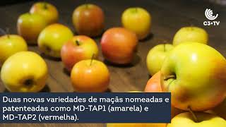 Será o fim da segunda fruta mais popular da América?