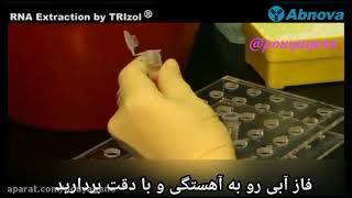 استخراج RNA