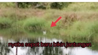 sepot baru ternyata banyak ikan'y ll casting ikan gabus