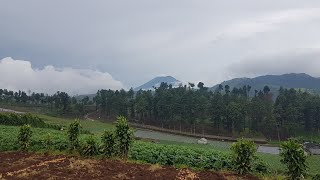 Lebih Dekat dengan Gunung Selamet | Pemandangan Indah Pandansari