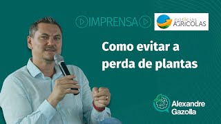 Alexandre Gazolla | Notícias Agrícolas | Como evitar a perda de plantas