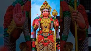 நல்லதே நடக்கும்🙏⭐🌿ஓம் சரவண பவ 🙏⭐🌿@sivamallisrimani1900 #ytshorts #trending #viralshorts #god #1m 🙏