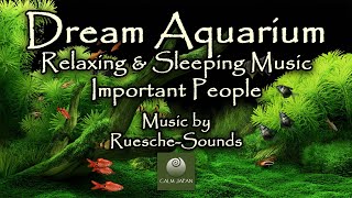 Dream Aquarium | Important People | Relaxation, Meditation and Sleep Music | 30 Minutes