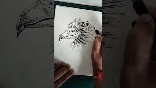 Highlight 6:35 – 11:35 from artbreeze is live : pen art of an eagle face