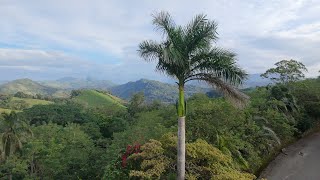 La selva Lacandona en Chiapas un paraíso que tiene que conocer mi amigo Luis @RADIOMOJARRA