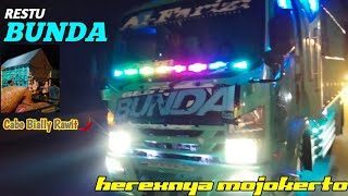 GIGA RESTU BUNDA HEREXNYA Mojokerto 😎Cabe Bially Rawit Tamanan-bondowoso