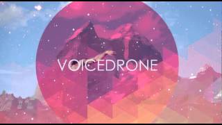 Voicedrone - Mom (Album version)