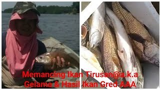 #Fishing Gelama @ Chanal Fish Memancing Ikan Tirusan aka Gelama Bersama Ipar & Biras 08 Mei 2015