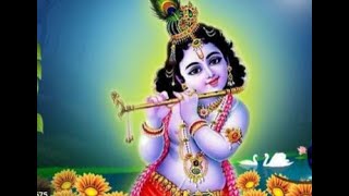 Meditation music /khrishna flute music/yoga/sleep music/Radha Khrishna flute