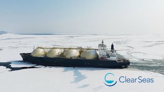 Arctic Marine Natural Gas Supply Chain Study | Perspective-Gathering Workshop day two - Jan 26, 2022