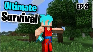 Minecraft Ultimate Survival EP 2