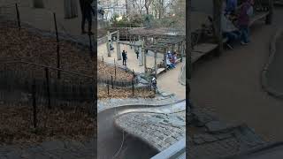 Billy Johnson Playground Central Park New York City December 2024