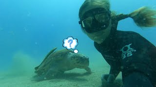 The turtle almost bit me underwater. Freediving in the Mediterranean