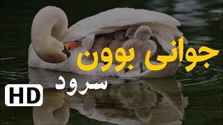 سرودی جوانی بوون [HD] . ڕێگای هیدایەت || Regay Hidayat