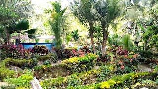 My Garden