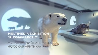 Мультимедийная выставка «Русская Арктика» в Зарядье