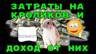 ДОХОД И РАСХОД ЗА 4 МЕС. У КРОЛИКОВ. ПОДСЧЁТЫ.