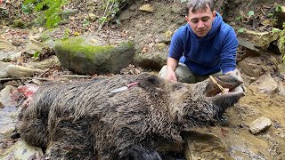 BÖYLE BİR DOMUZ YOK DEV DOMUZ AVI 🐗 || BEST BİG WİLD BOAR HUNT 🐗 #wildboar #gopro #domuz