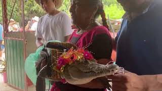 Alcalde se casa con un caimán 🐊 #viral